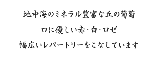 スチューレック家訪問文